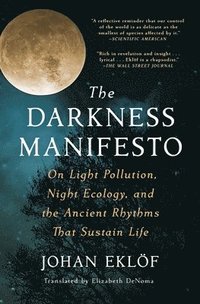bokomslag The Darkness Manifesto