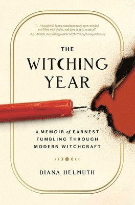 bokomslag Witching Year