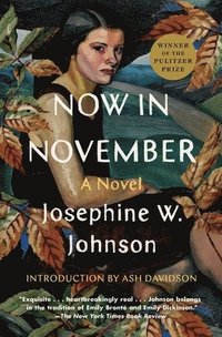 bokomslag Now in November