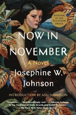 bokomslag Now in November