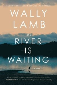 bokomslag River Is Waiting (Oprah's Book Club)