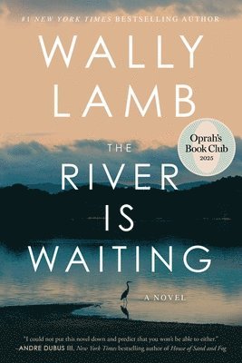bokomslag River Is Waiting (Oprah's Book Club)