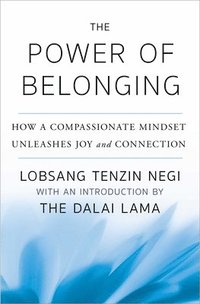 bokomslag The Power of Belonging: How a Compassionate Mindset Unleashes Joy and Connection
