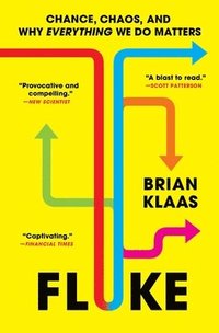 bokomslag Fluke: Chance, Chaos, and Why Everything We Do Matters
