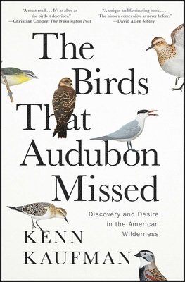 bokomslag Birds That Audubon Missed