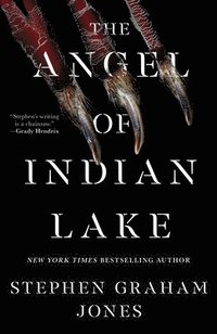 bokomslag Angel Of Indian Lake