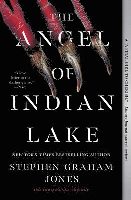 The Angel of Indian Lake
