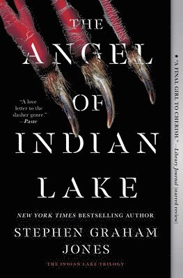 The Angel of Indian Lake 1