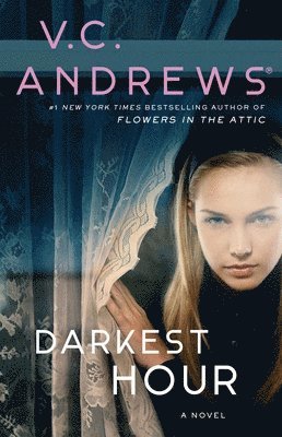 bokomslag Darkest Hour