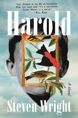 Steven Wright - Harold, Häftad