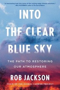 bokomslag Into the Clear Blue Sky: The Path to Restoring Our Atmosphere