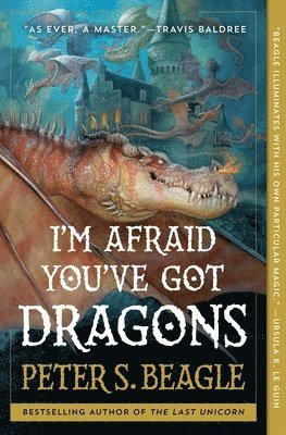 I'm Afraid You've Got Dragons 1