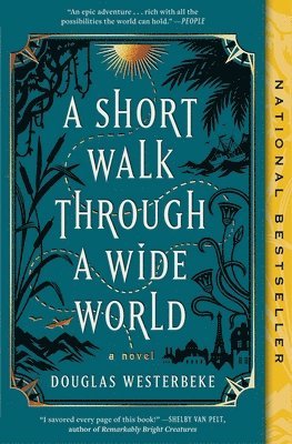 A Short Walk Through a Wide World