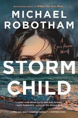 bokomslag Storm Child
