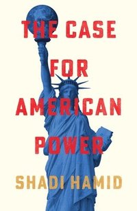 bokomslag Case for American Power