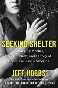 bokomslag Seeking Shelter: A Working Mother, Her Children, and a Story of Homelessness in America