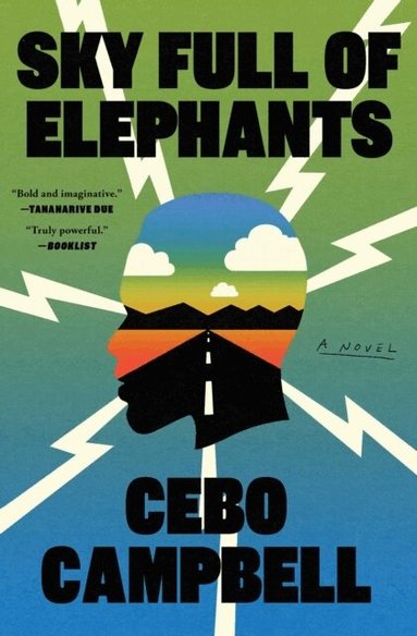 Cebo Campbell - Sky Full of Elephants, Häftad