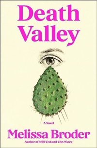bokomslag Death Valley - A Novel