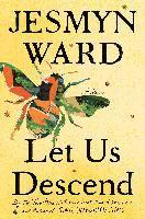 bokomslag Let Us Descend : A Novel
