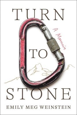 bokomslag Turn to Stone