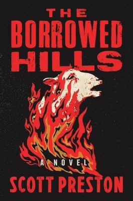 The Borrowed Hills 1