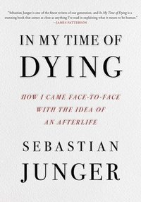 bokomslag In My Time of Dying: How I Came Face to Face with the Idea of an Afterlife