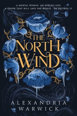 bokomslag The North Wind
