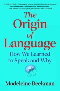 bokomslag The Origin of Language