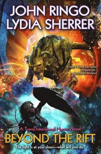 bokomslag Beyond the Rift