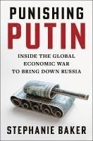 bokomslag Punishing Putin