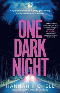 bokomslag One Dark Night
