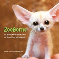 bokomslag ZooBorns: The Newest, Cutest Animals from the World's Zoos and Aquariums