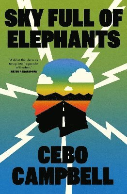 Cebo Campbell - Sky Full of Elephants, Häftad