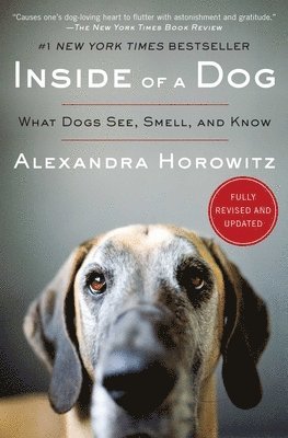 bokomslag Inside of a Dog: What Dogs See, Smell, and Know