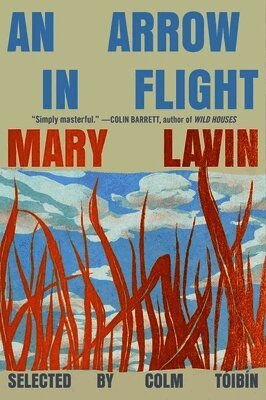 Mary Lavin - An Arrow in Flight, Häftad