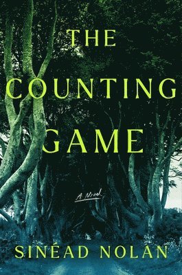 bokomslag The Counting Game