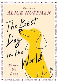 bokomslag The Best Dog in the World: Essays on Love
