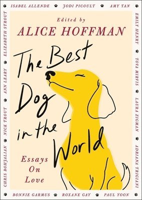 bokomslag The Best Dog in the World: Essays on Love