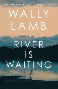bokomslag River Is Waiting (Oprah's Book Club)