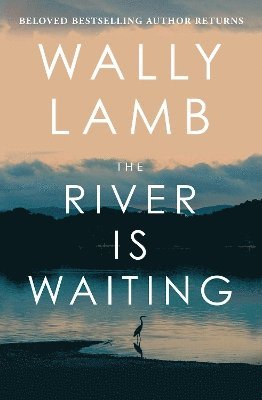 bokomslag River Is Waiting (Oprah's Book Club)