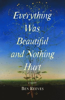 Ben Reeves - Everything Was Beautiful and Nothing Hurt, Inbunden