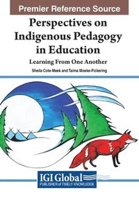 bokomslag Perspectives on Indigenous Pedagogy in Education