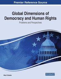 bokomslag Global Dimensions of Democracy and Human Rights