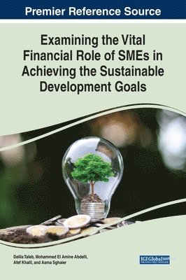 Dalila Taleb, Mohammed El Amine Abdelli, Afef Khalil, Asma Sghaier - Examining the Vital Financial Role of SMEs in Achieving the Sustainable Development Goals, Inbunden
