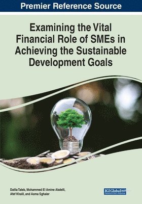 Dalila Taleb, Mohammed El Amine Abdelli - Examining the Vital Financial Role of SMEs in Achieving the Sustainable Development Goals, Häftad