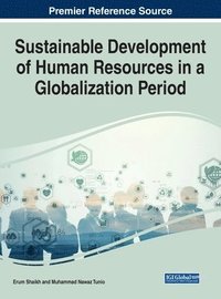 bokomslag Sustainable Development of Human Resources in a Globalization Period