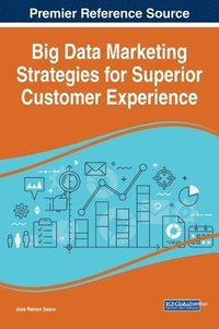 bokomslag Big Data Marketing Strategies for Superior Customer Experience