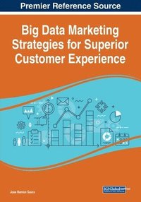 bokomslag Big Data Marketing Strategies for Superior Customer Experience