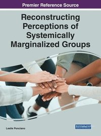 bokomslag Reconstructing Perceptions of Systemically Marginalized Groups