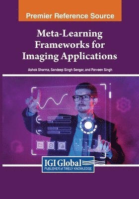 Meta-Learning Frameworks for Imaging Applications 1